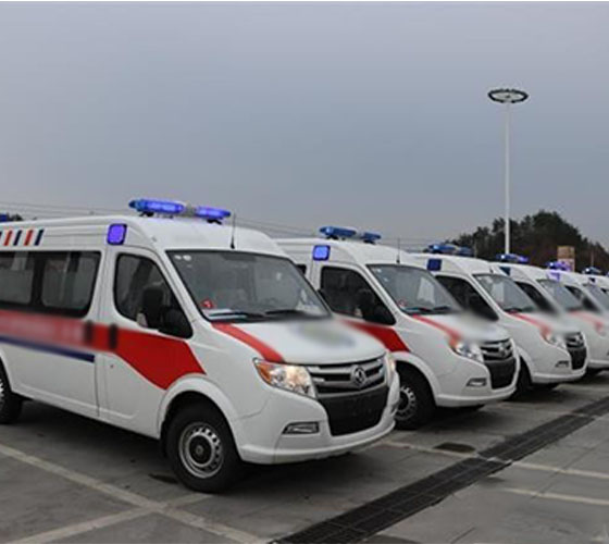 道真服务车队展示